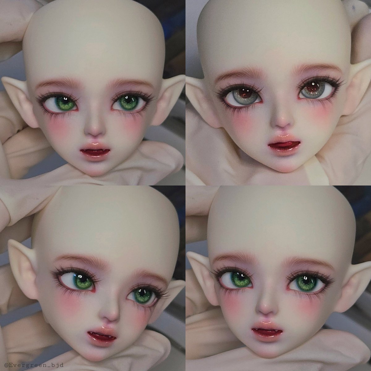 狼桃革命샵 슈뢰딩거