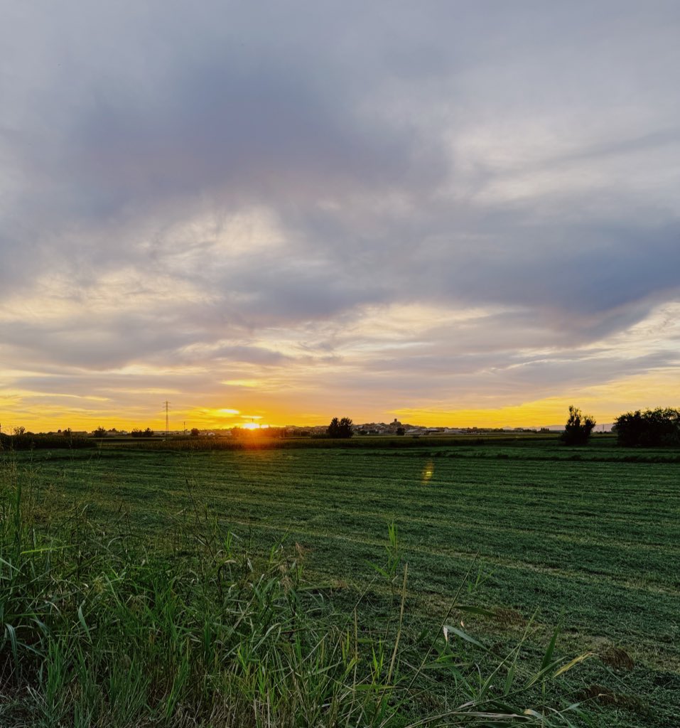 Alba Balcells tweet media