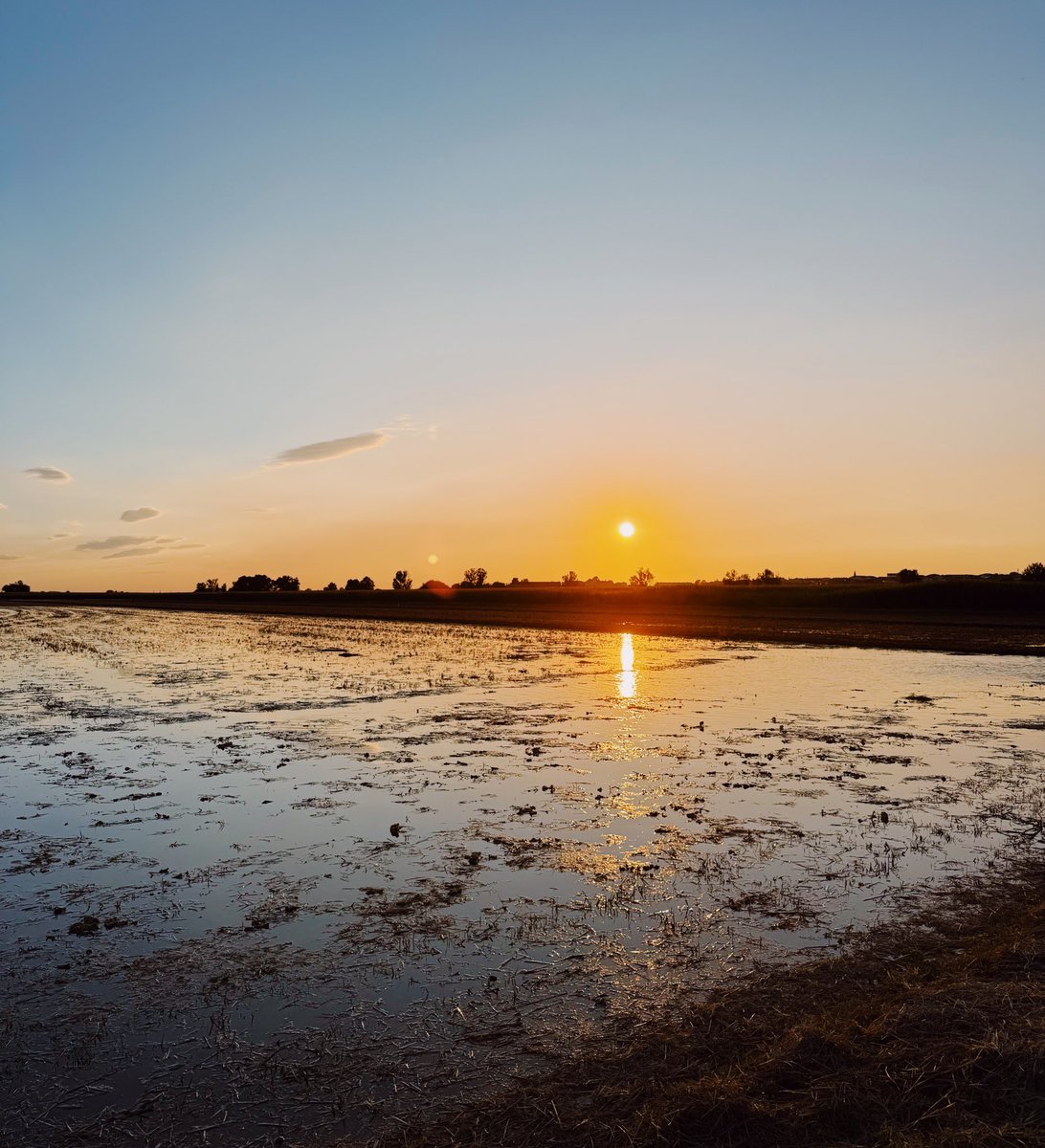 Alba Balcells tweet media