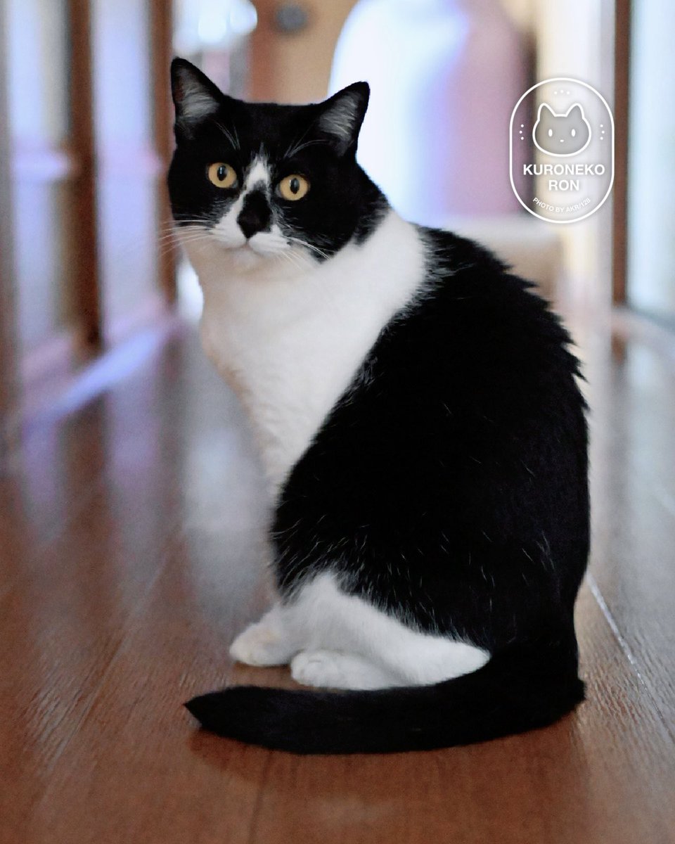 後頭部のシルエットかわいすぎる 前から見てもかわいいですけども