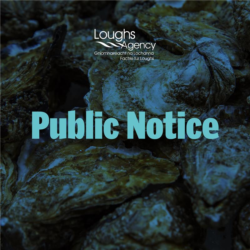 loughsagency's tweet photo. Public notice 🚨

Loughs Agency has announced the suspension of oyster fishing in the Foyle area from 19th September - 6th October. 

Find out more: https://t.co/pgKBzQCt0H

#LoughsAgency #Foyle https://t.co/TH30ma2Q6a