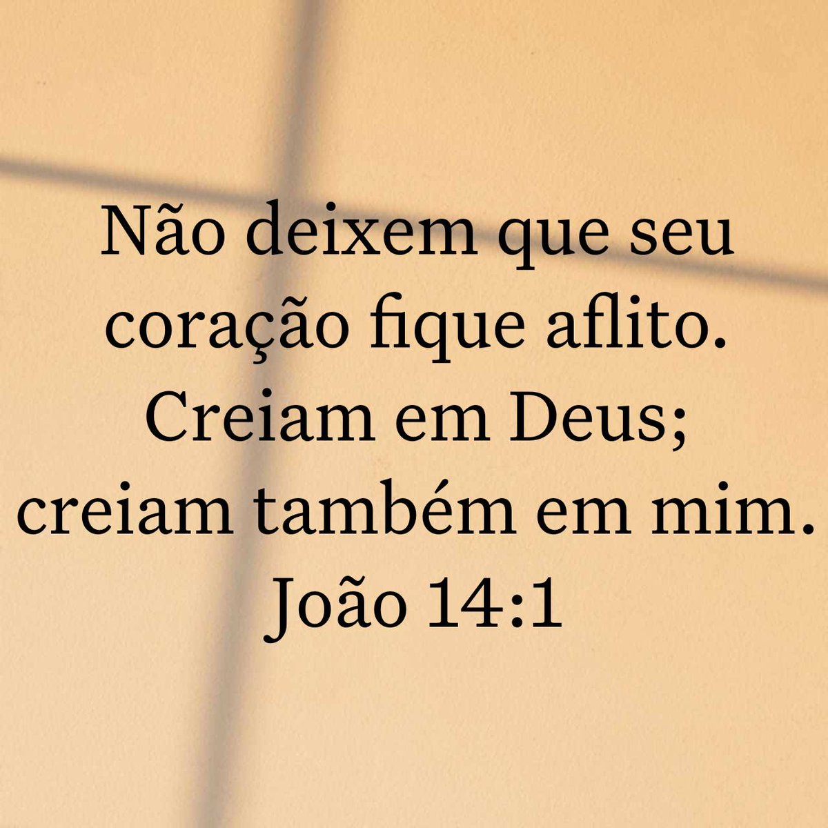 Não deixem que seu coração fique aflito. Creiam em Deus; creiam também em mim. 
João 14:1