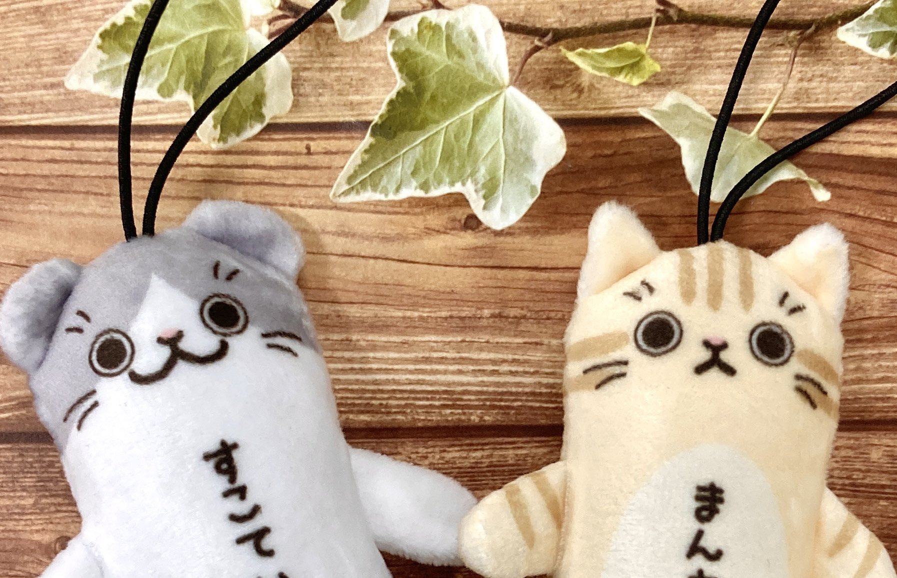 カワチ (@kawachi_ks) / X