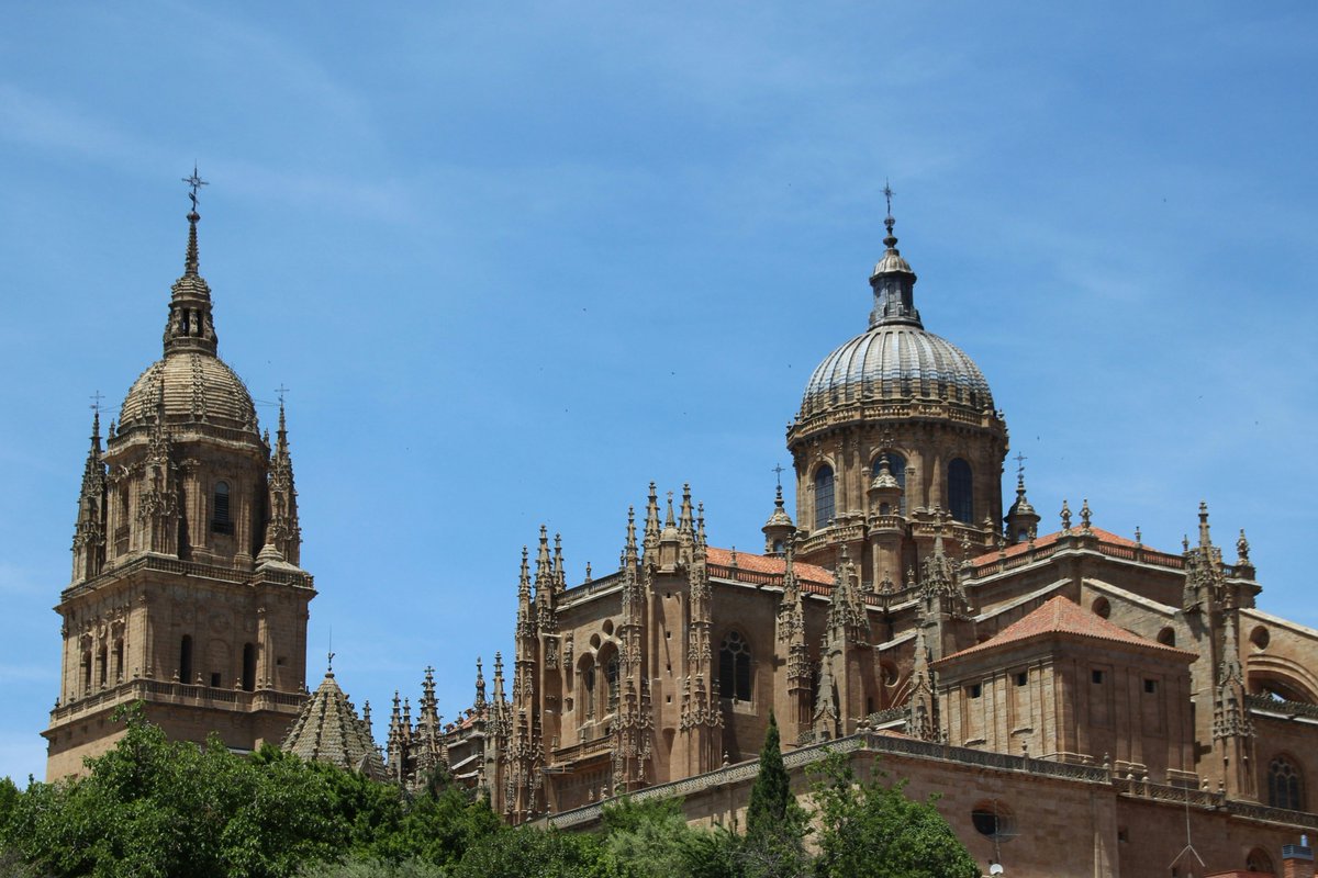 Salamanca Acompaña tweet media
