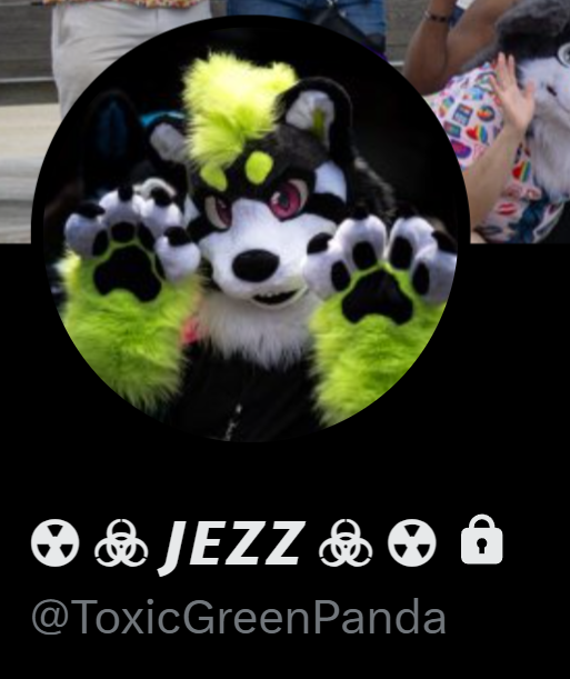 Shadow the Wolf (@Shadow_theWolf3) / Posts / X