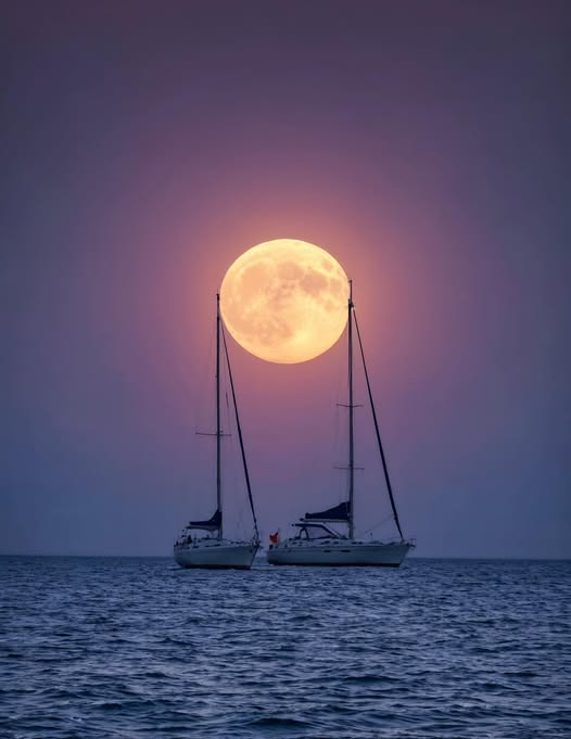 NightSkyToday's tweet photo. The perfect moonlit moment 😍 https://t.co/6HpTlpo0Aw