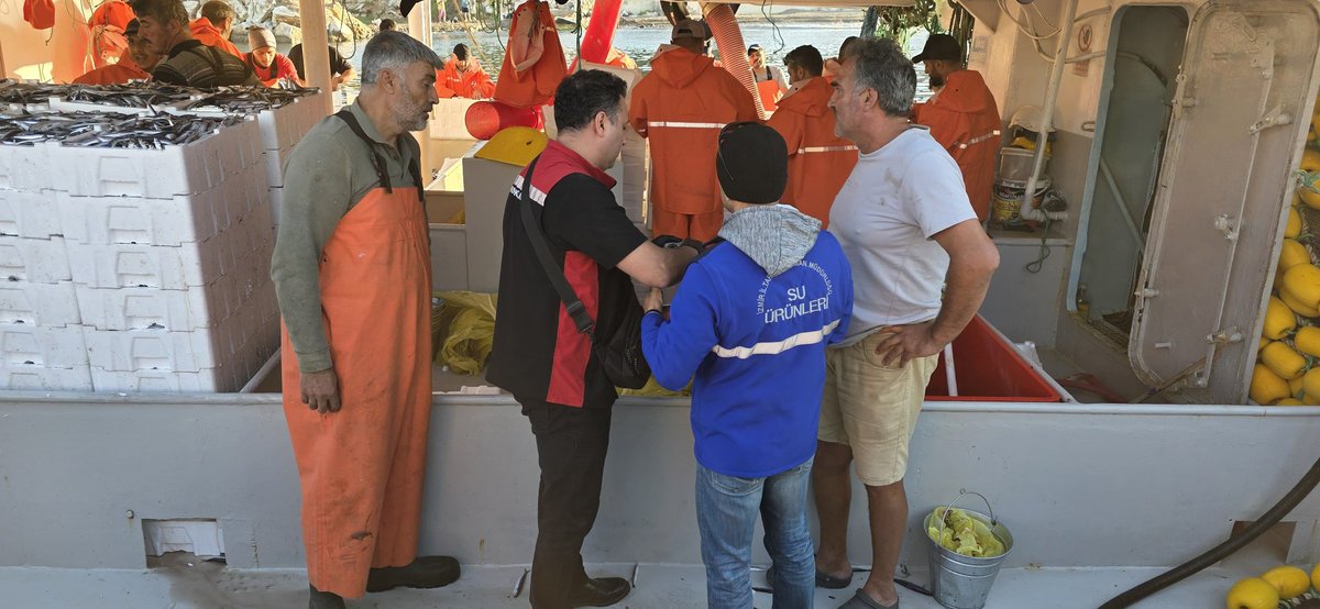 İlimiz sınırlarında su ürünleri stoklarını korumak ve sürdürülebilir balıkçılığı sağlamak amacıyla hamsi karaya çıkış noktalarında denetimler gerçekleştirildi.

✔️ 6 karaya çıkış noktasında 11 balıkçı gemisi kontrol edildi.
✔️ Üretim planlaması kapsamında nakil onayı verilen 5