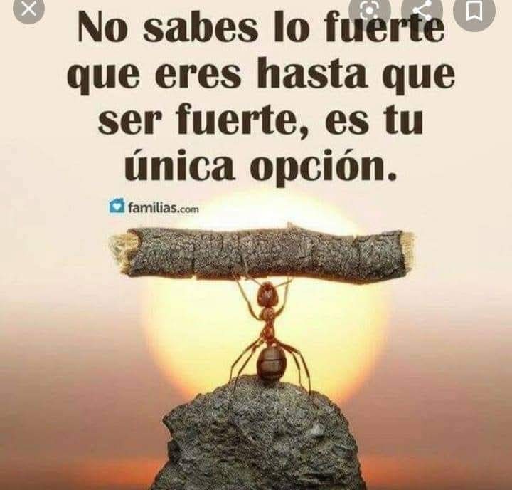 "Nunca digas no puedo: levántate, suspira, sonríe, y sigue adelante. Si luchas por lo que quieres, tarde o temprano, llegará."Cariños MIL\0/