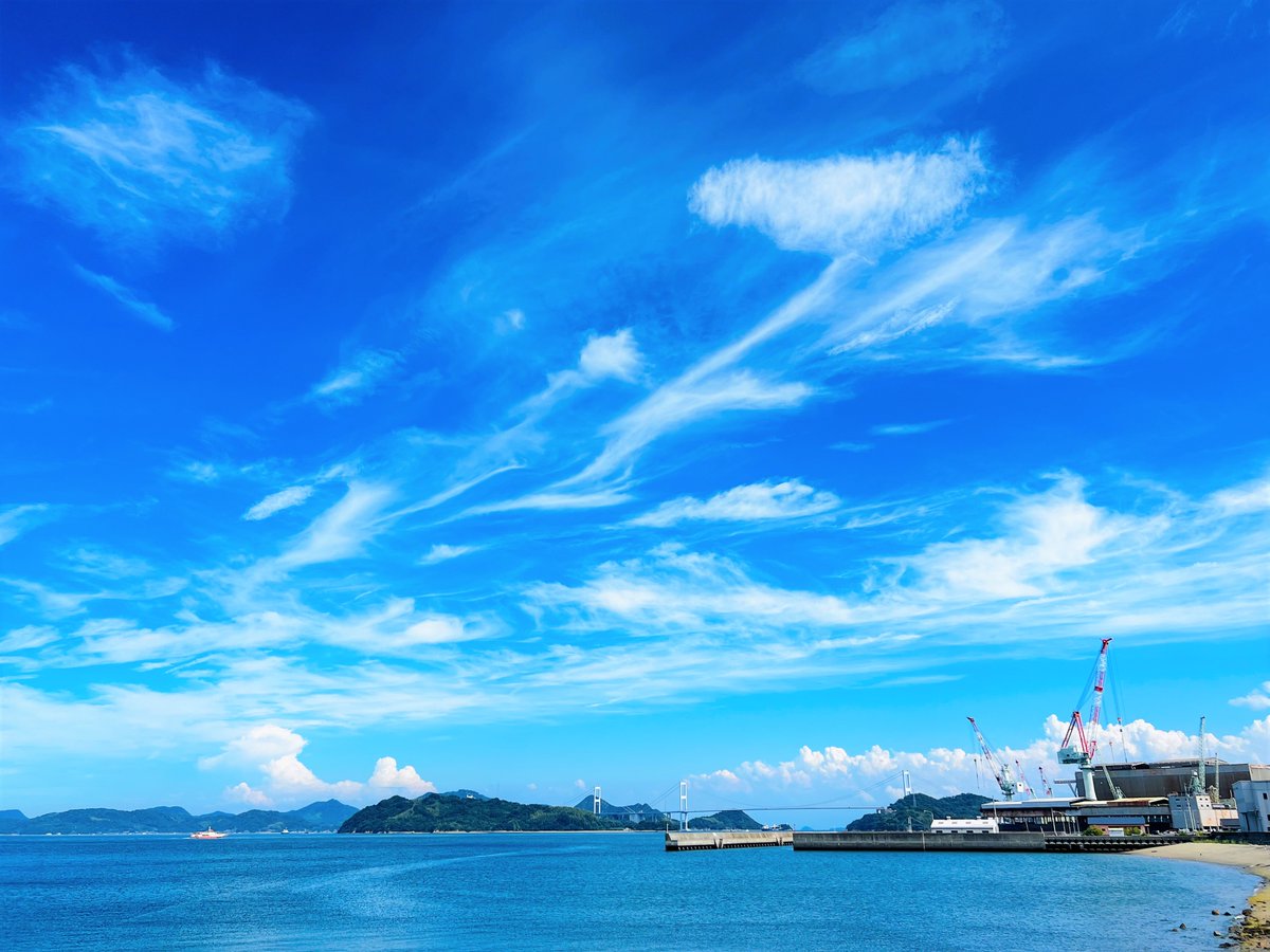 Setouchi_Bus's tweet image. 2025.9.9(火)
波方ループ線沿線の一コマ📷

#せとうちバス　#今治市