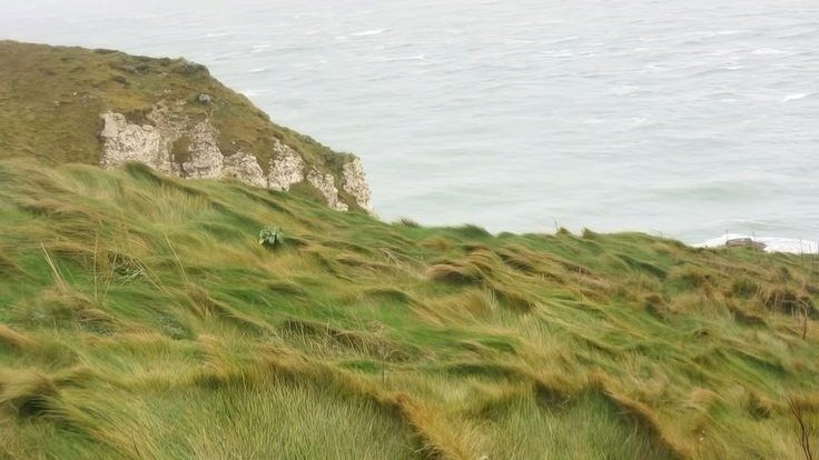 moodyonmoon's tweet image. 