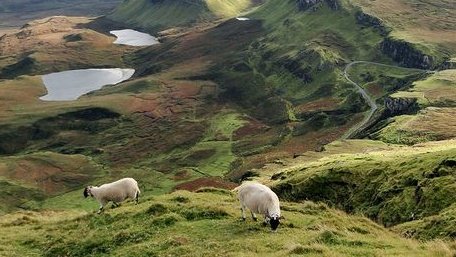 moodyonmoon's tweet image. 