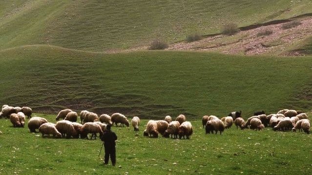 moodyonmoon's tweet image. 