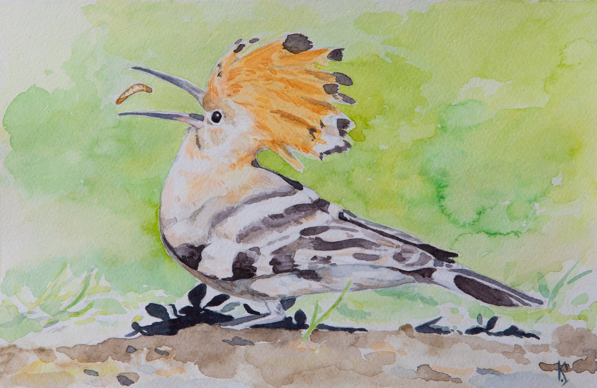 Показую удода, якого намалювала 2 місяці тому 🤲