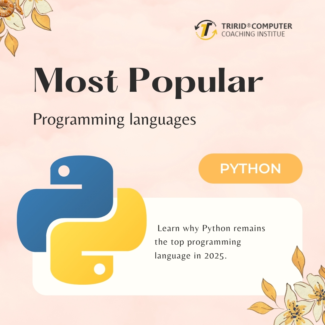 tccicomputer's tweet image. Learn why Python is the most popular language in 2025. Join TCCI Bopal Ahmedabad for certified Python training with practical coding projects.
👉tccicomputercoaching.wordpress.com/2025/09/09/pyt…
#PythonAhmedabad #LearnPython #ComputerClassesBopal #TCCIInstitute #PythonTraining #BopalAhmedabad