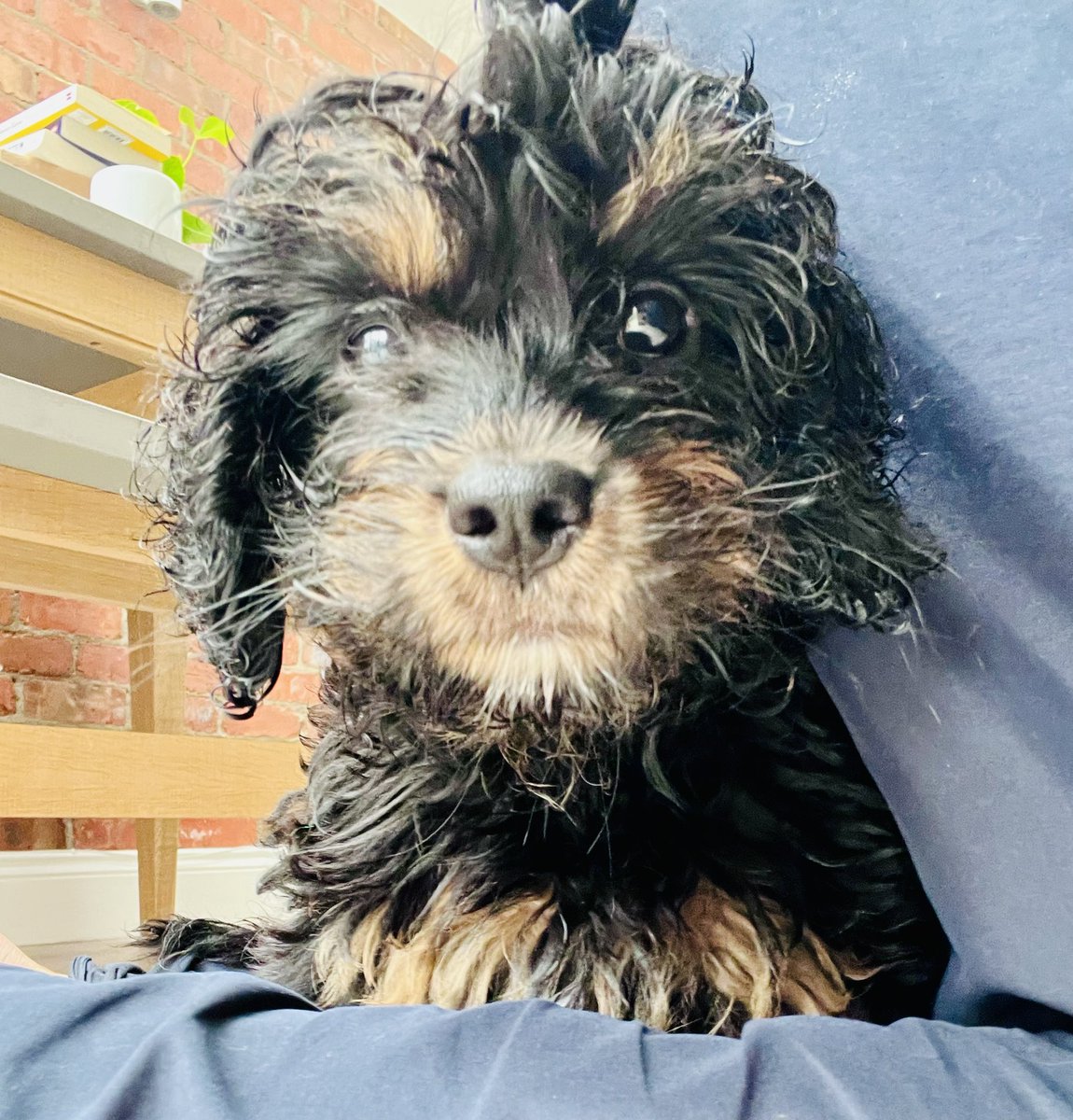 Happy #InternationalBearDay