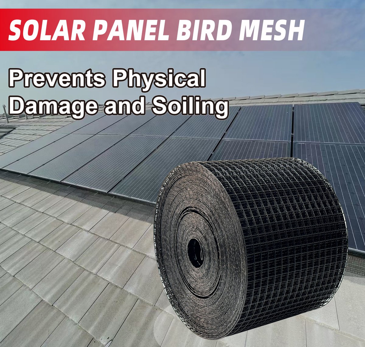 TIANYUZHANG123's tweet image. Bird nesting under your solar panels? 🐦
Meet your solution: Pauleen's Solar Panel Bird Mesh! 🛡️
📞 Get Quote Now：
WhatsApp: +86 17367718578
Email: kevin@meshwiresuppliers.com
Free-standing station:meshwiresuppliers.com

#SolarPanelProtection #BirdMesh #Pauleen