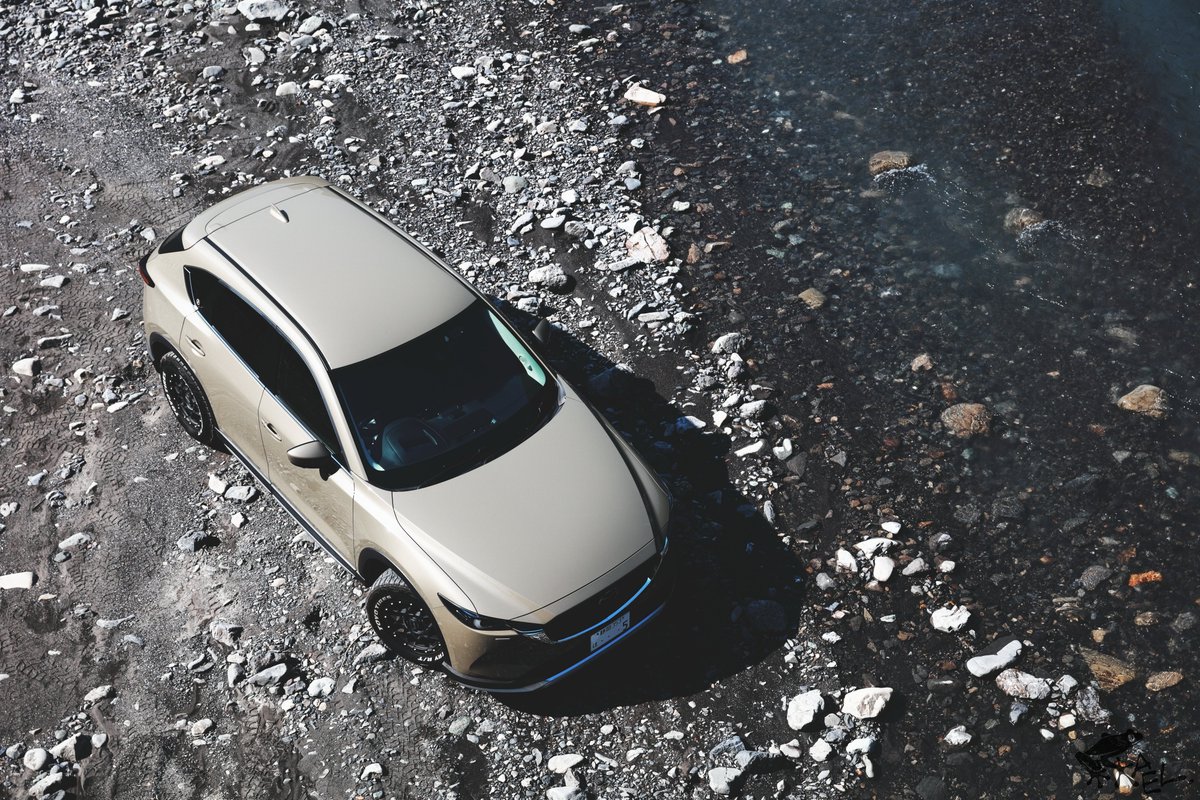 cx5_with_frogs's tweet image. ハイアングル撮る時のコツは全力でジャンプすることです。

#cx5 #withmazda