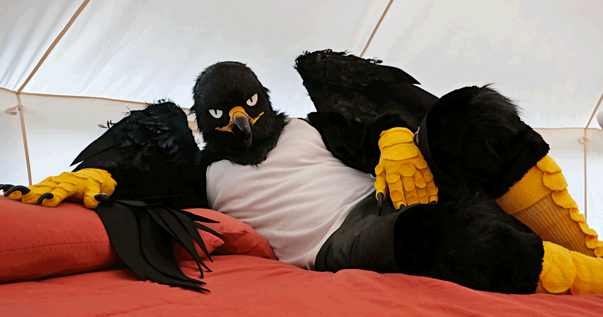 이리 와서 여기 누워.
#FursuitEveryday