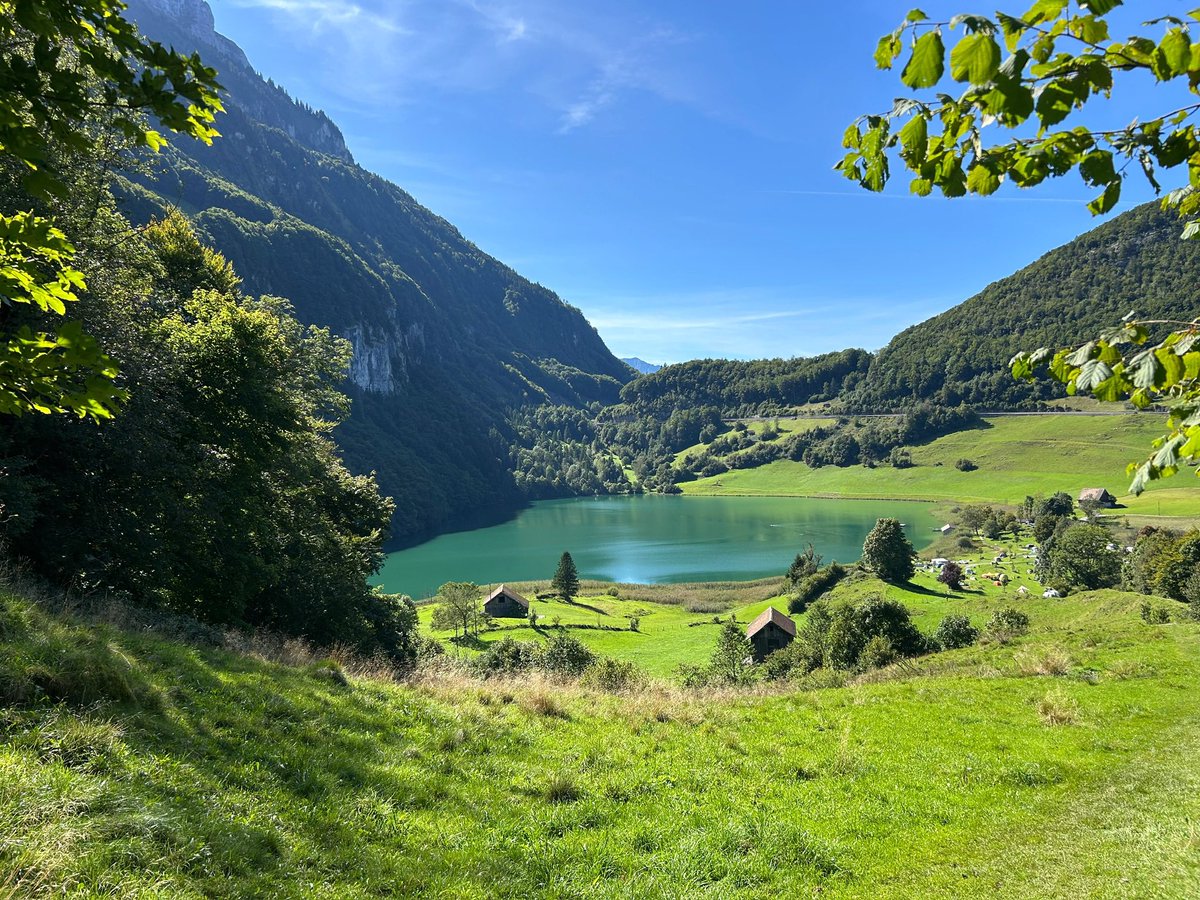 ✧Arcais ✧ 🔜 CFZ tweet media