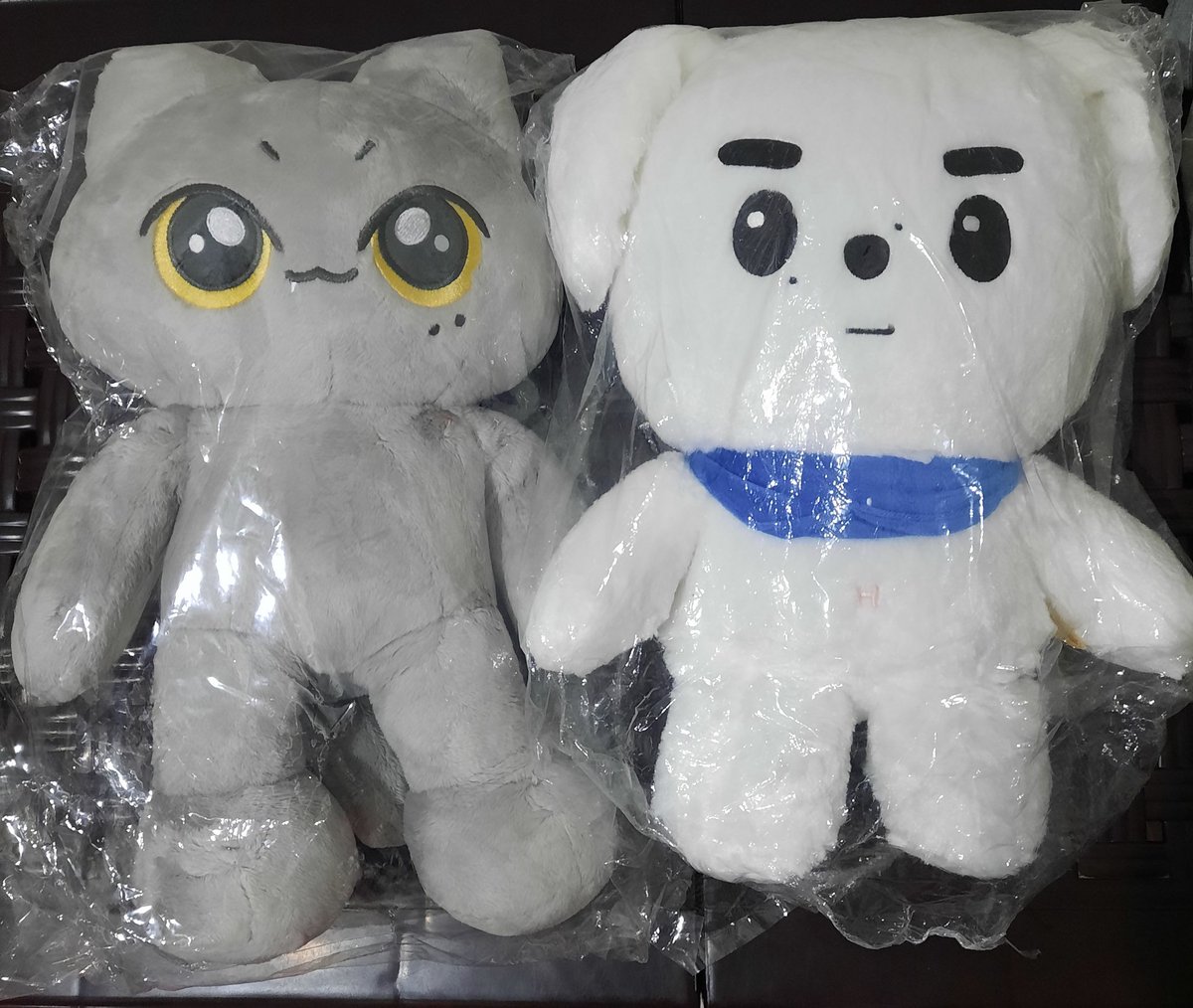 ૮꒰ྀི ⸝⸝․․⸝⸝ ྀི꒱ა #chakiesells • • • 🛒

 ˑ ִֶ 𓂃⊹ wts lfb ph ⊹𓂃 ִֶ ˑ 

✩˚｡⋆ 50cm gray/silver jjongmi &amp; 45cm park hans doll ⋆˚｡✩

ଘ 2,700 + lsf, payo
ଘ strictly sold as set
ଘ onhand, good condi

💌 reply/dm to claim!

⌗ enhypen jay sunghoon doll