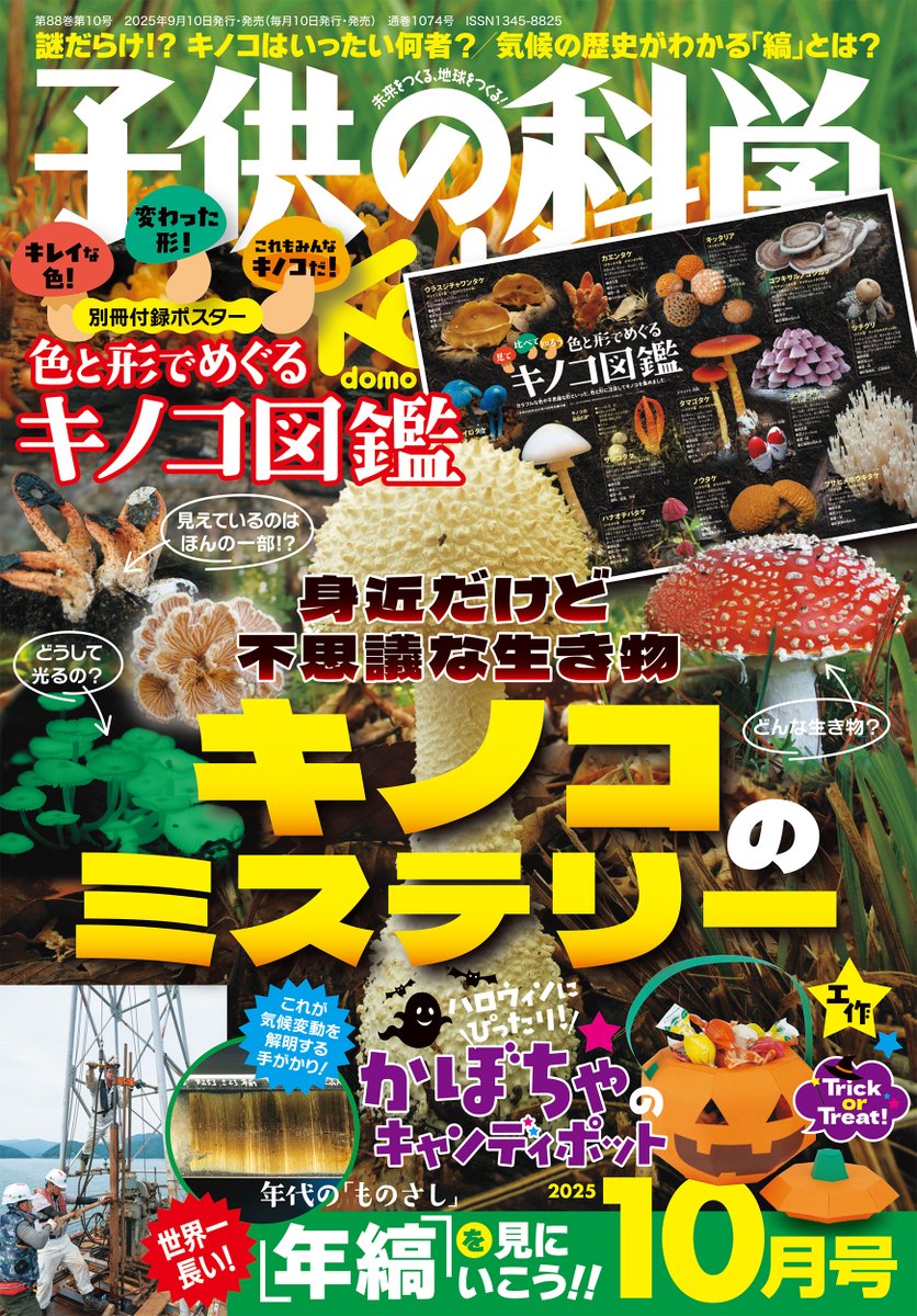 きのこをめぐるカルチャーマガジン 隔月刊 MOOK『きのこ』創刊号～最終13号 子供の科学』最新号は9/10発売👀 ☆【特集】身近だけど不思議な生き物
