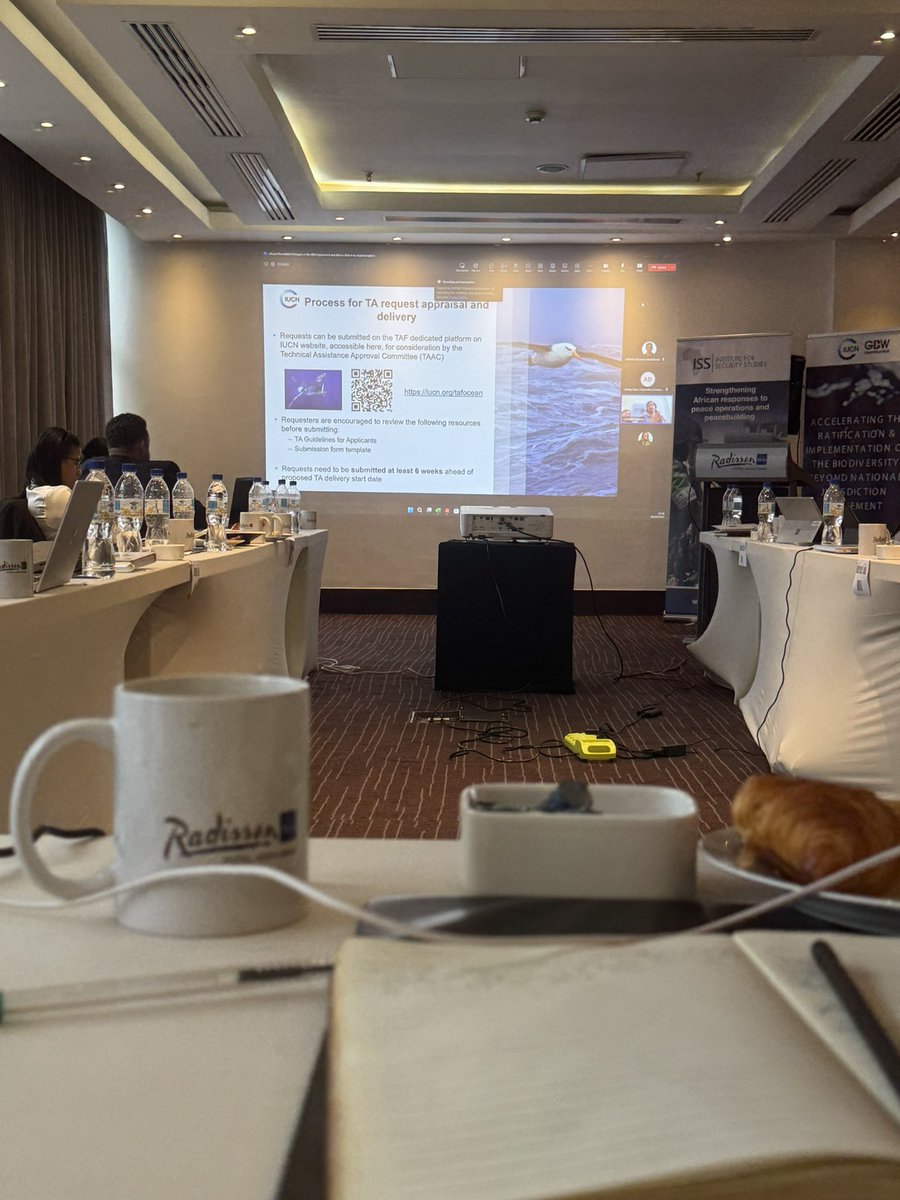 RossaNatalie3's tweet photo. Excited to join today’s High-Level Roundtable on Africa’s role in the BBNJ Agreement at the African Climate Summit in Addis Ababa! Together with IUCN and African stakeholders, we’re shaping Africa’s voice in marine biodiversity beyond borders. #BBNJ #AfricanClimateSummit2 https://t.co/I0dz6D7esV