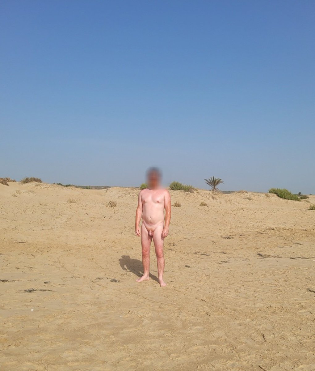 The Barefoot Explorer tweet media