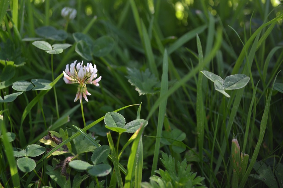 Little Green Space 🦋 tweet media
