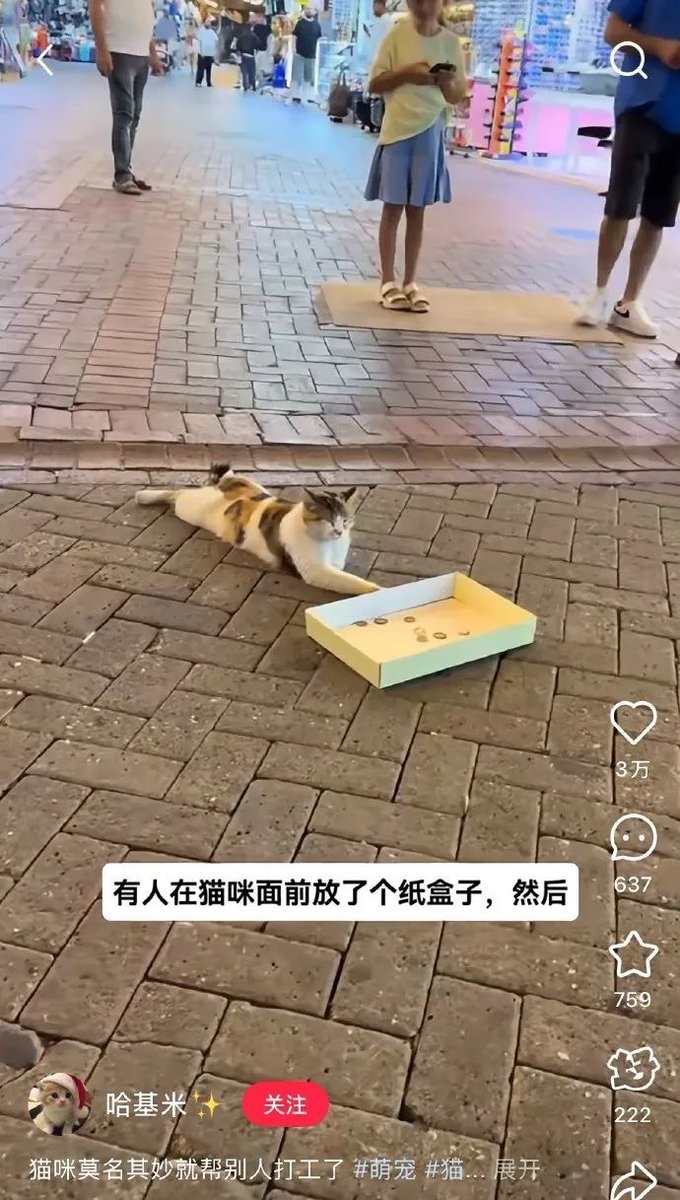 香芋牛奶 (@xiangyuniunai) on Twitter photo 