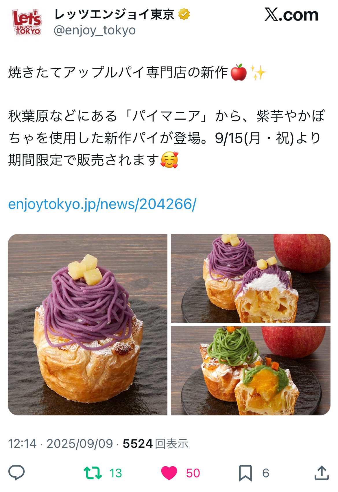 アップルパイ様 リクエスト 10点 まとめ商品 main.jpg?1719808349&p=t&w=1200