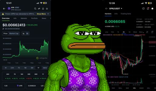 ℙrotonℙunk | TDBN tweet media