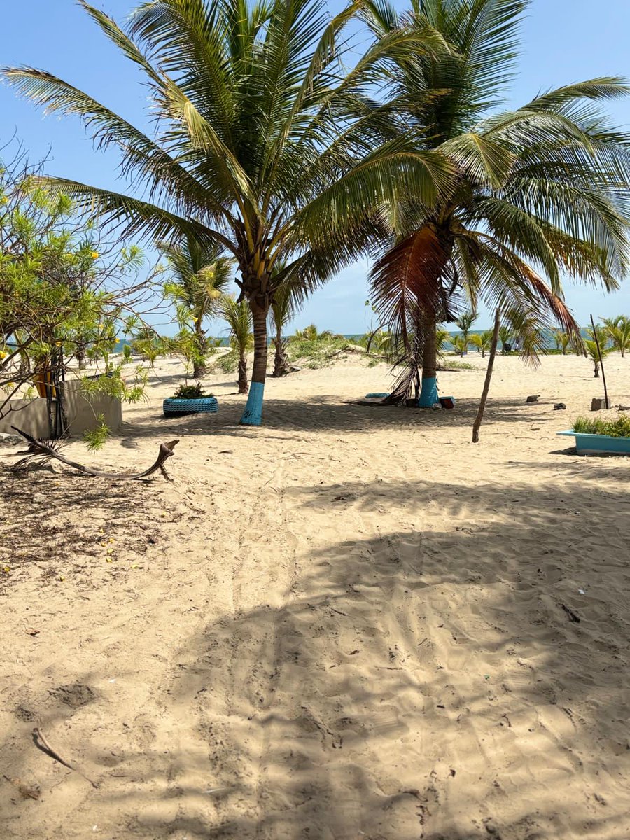 Modoulamin12345's tweet image. 