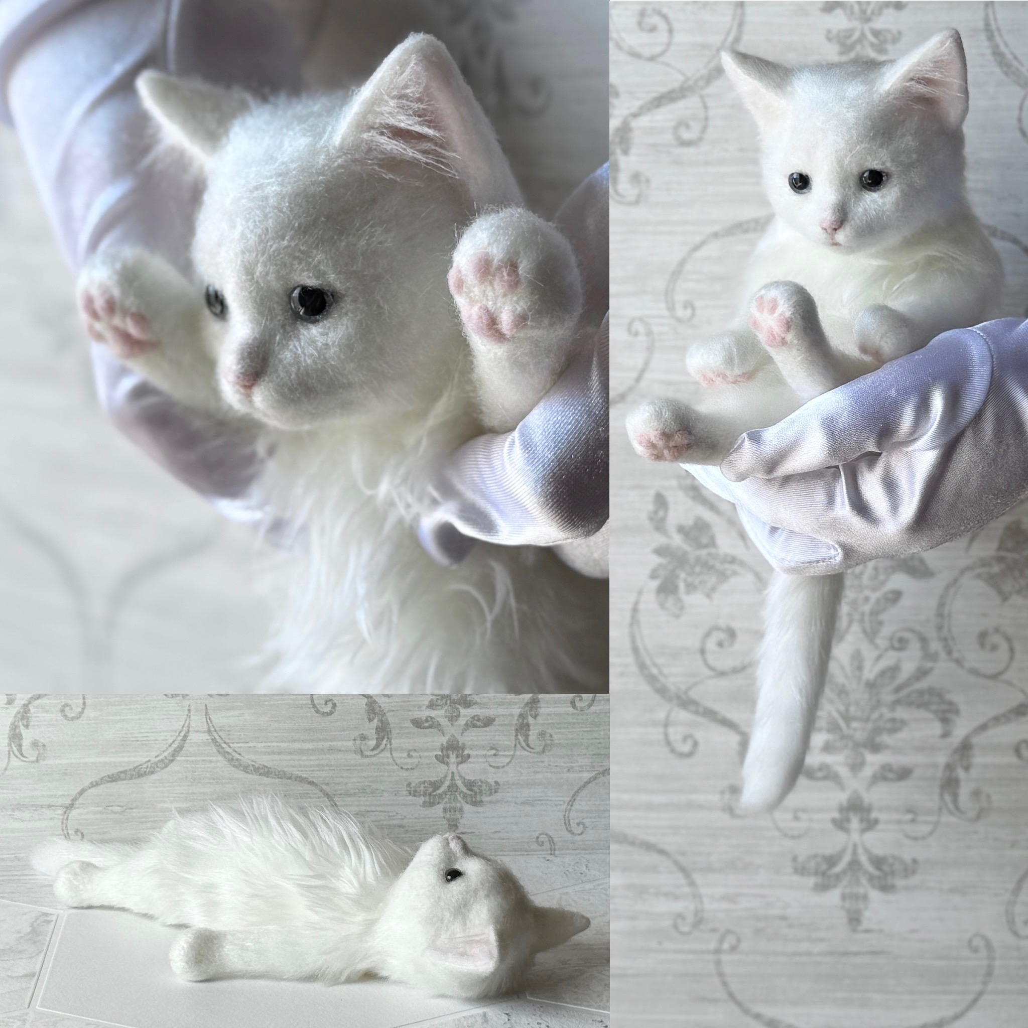 プランチュ様 困難をくぐり抜け帰ってきたねこ様たち プランチュ様 困難をくぐり抜け帰ってきたねこ様たち プランチュ