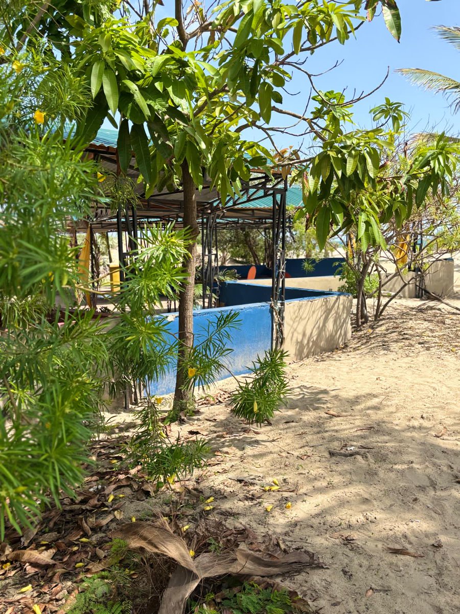 Modoulamin12345's tweet image. 