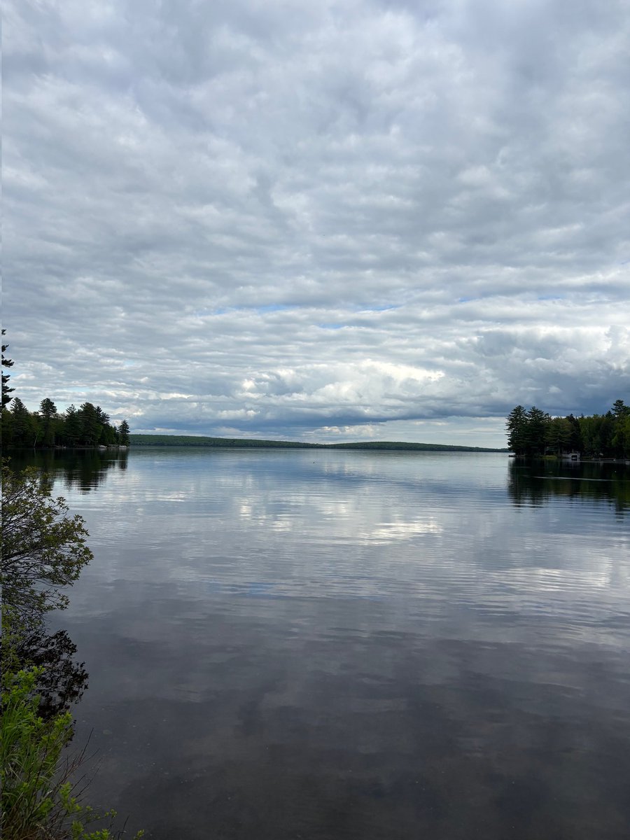 Modoulamin12345's tweet image. 