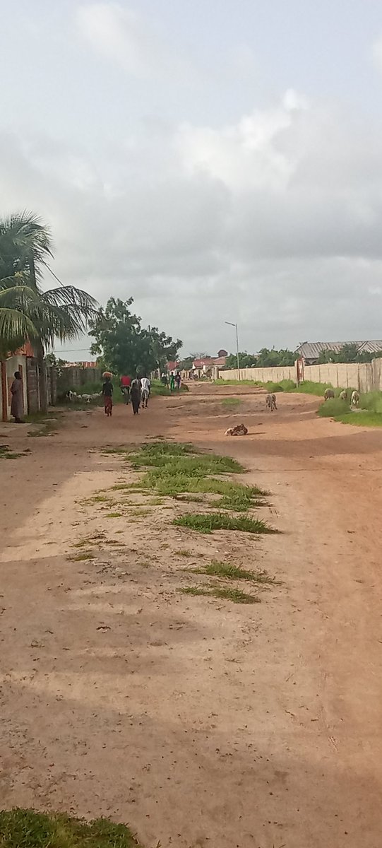 Modoulamin12345's tweet image. Gambia 🇬🇲🇬🇲🇬🇲🇬🇲🇬🇲🇬🇲🇬🇲