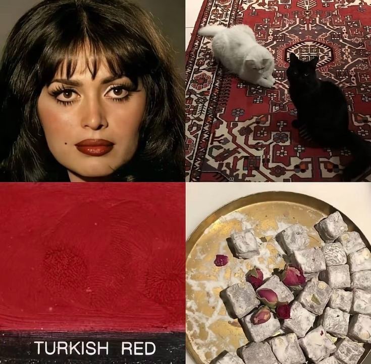 turqoisè (@tuurqoise) on Twitter photo 