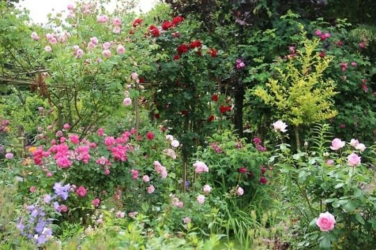 Firuze Taş (@firuze_tas) on Twitter photo 