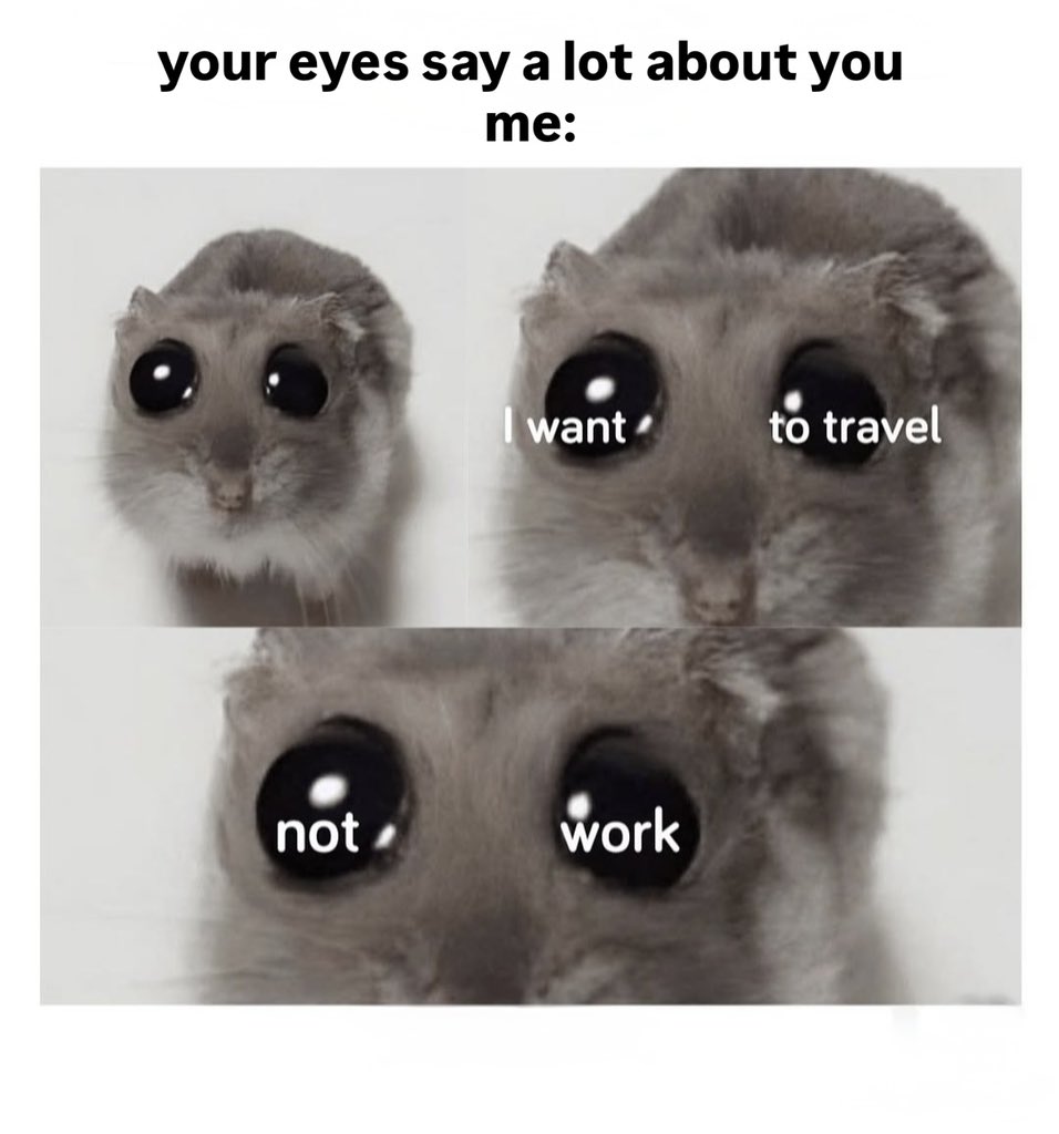 this is what my eyes say😌🤷‍♀️