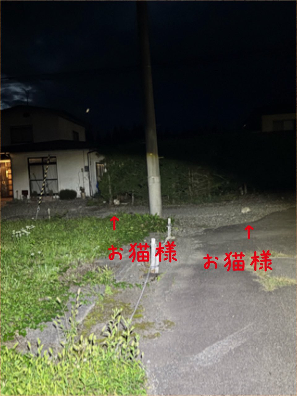 ❤アマンダさま❤ こう見えて‥寝てます🤣
