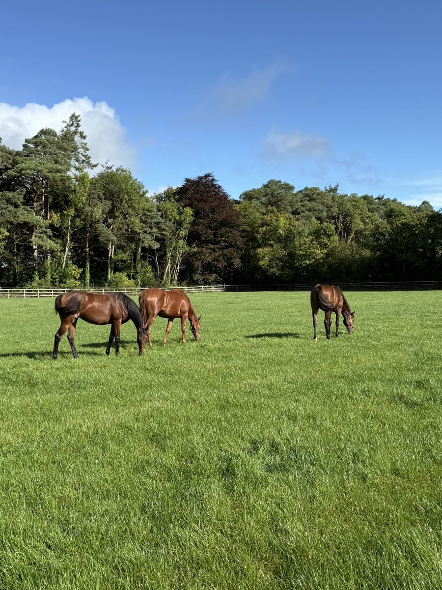 Few more weeks of play-school before big school starts.