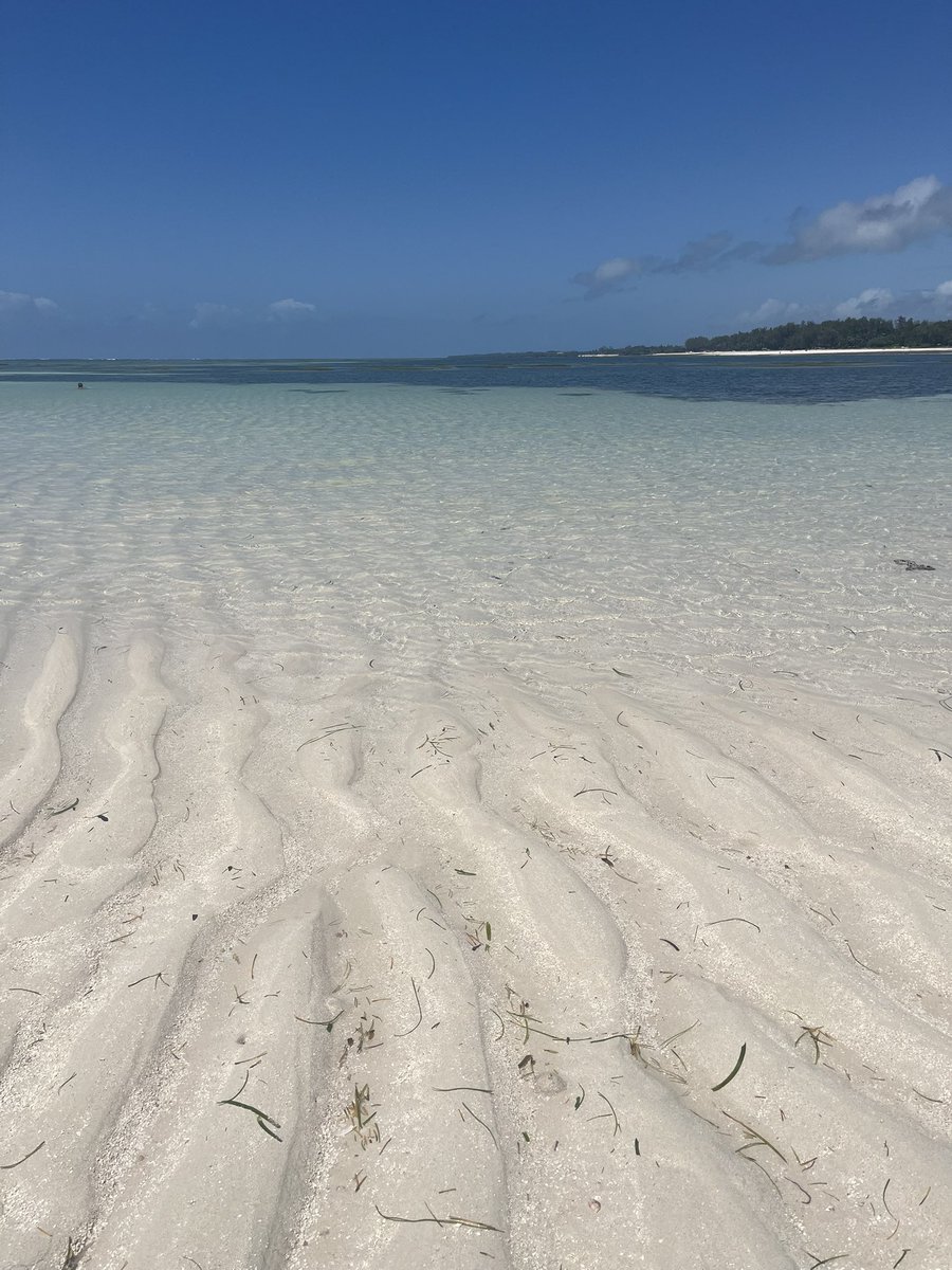 f_girasole's tweet photo. Paradise 🩵
#Travelphotography
#Istantlove
#Kenya 🇰🇪 https://t.co/Rk62BpYA57