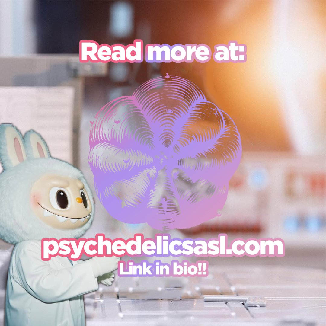 This year, the Thai Narcotics Control Board issued a warning about #Labubu-shaped pills entering parties over the Songkran festival in the capital. However, they seem to be quite different from our typical party drugs.

Read more here:
psychedelicsasl.com/labubus-are-no…