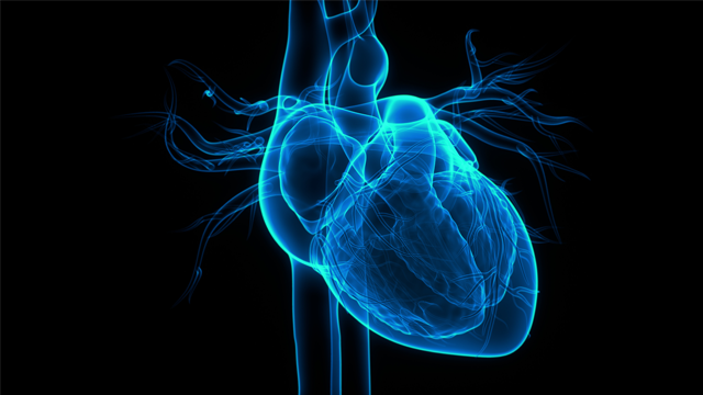 radcliffeCARDIO's tweet image. 📚New #USCJournal Article: "The Artwork of Jamil Aboulhosn"

📚 Just Published!

🔓Access it here 👉 ow.ly/V6TO106l8Nv

@CardioNerds