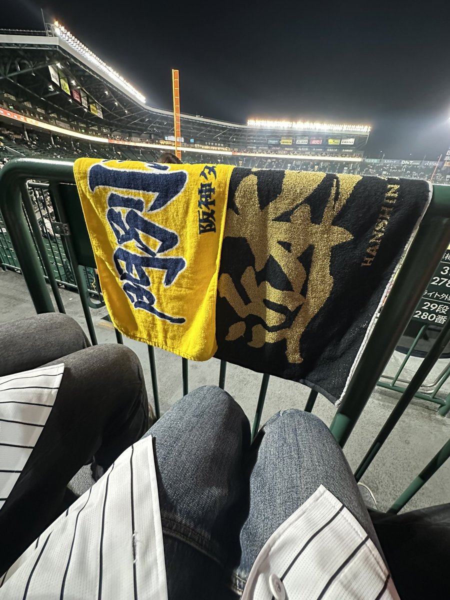 消化試合1日目ﾏｹﾎ？🐯