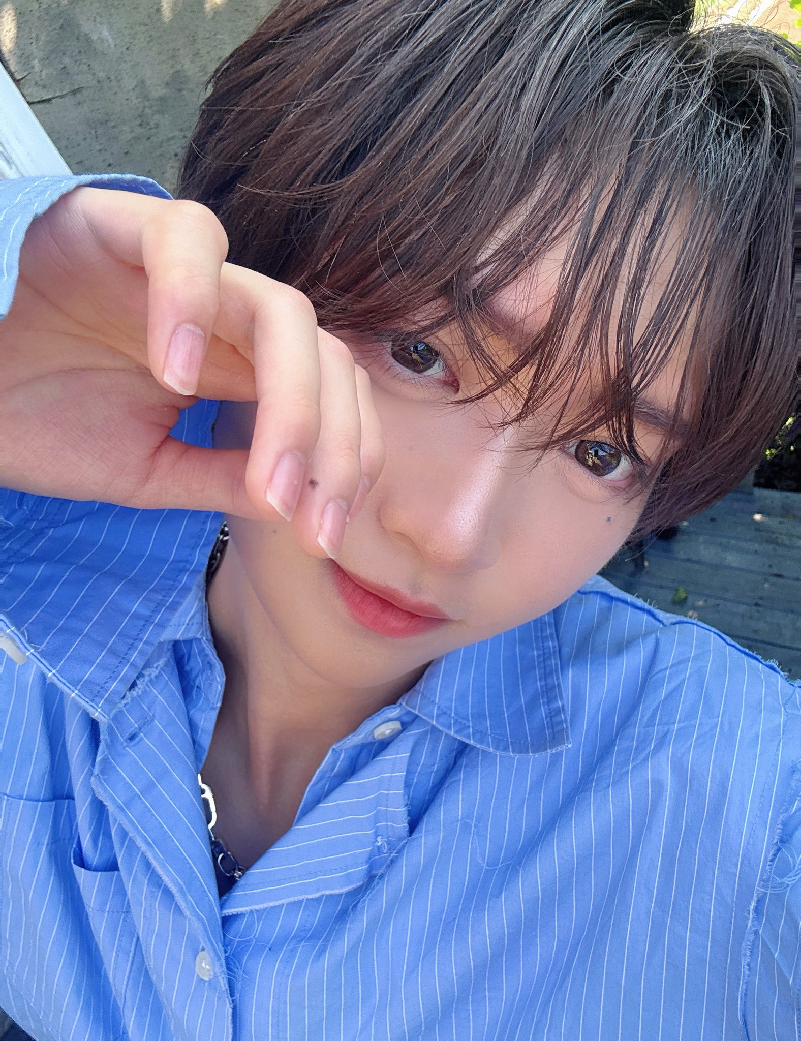 たいよう∞ Adidas x Ninja ZX Torsion 