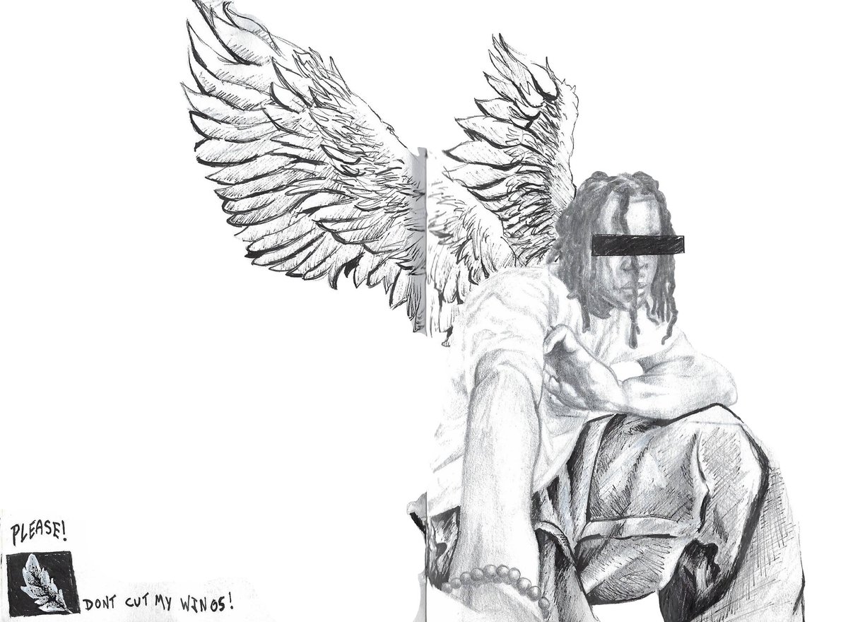 plz dont cut my wings!