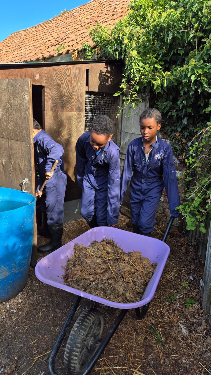 Focus Trust tweet media