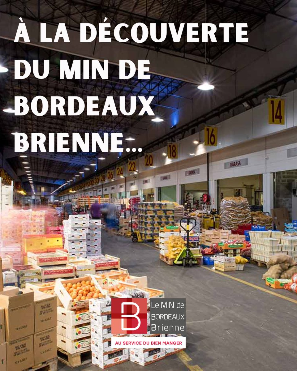 minbordeaux's tweet photo. 🌟 À la découverte du MIN de Bordeaux Brienne...
Le grand marché de gros alimentaire au cœur de la métropole bordelaise. https://t.co/Qfn3NsewRR