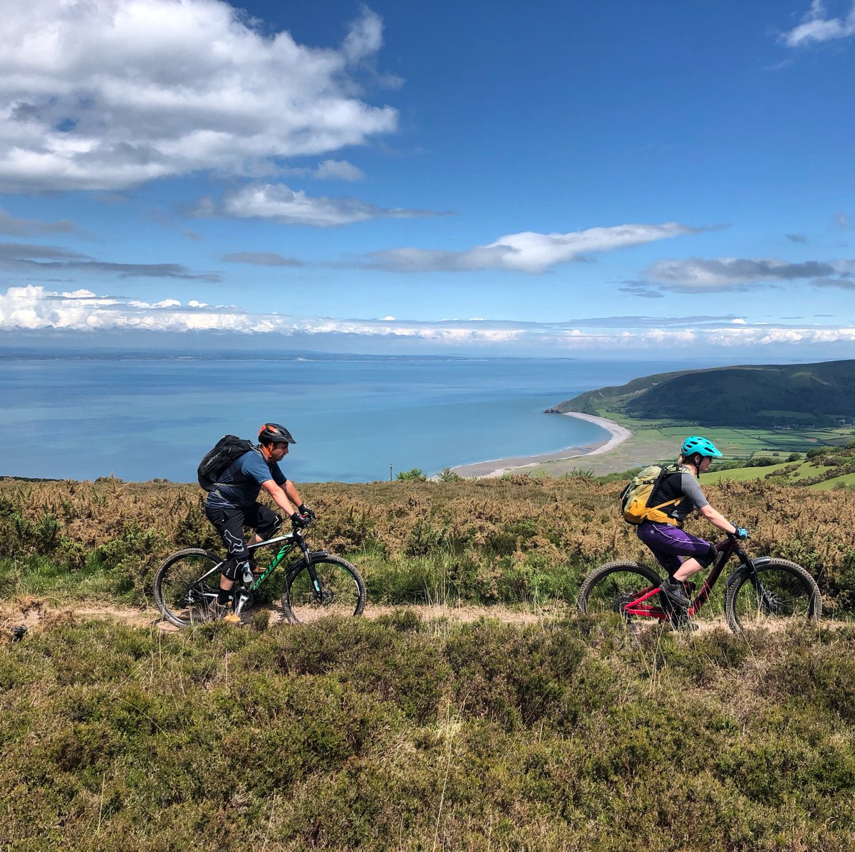 Visit Exmoor tweet media